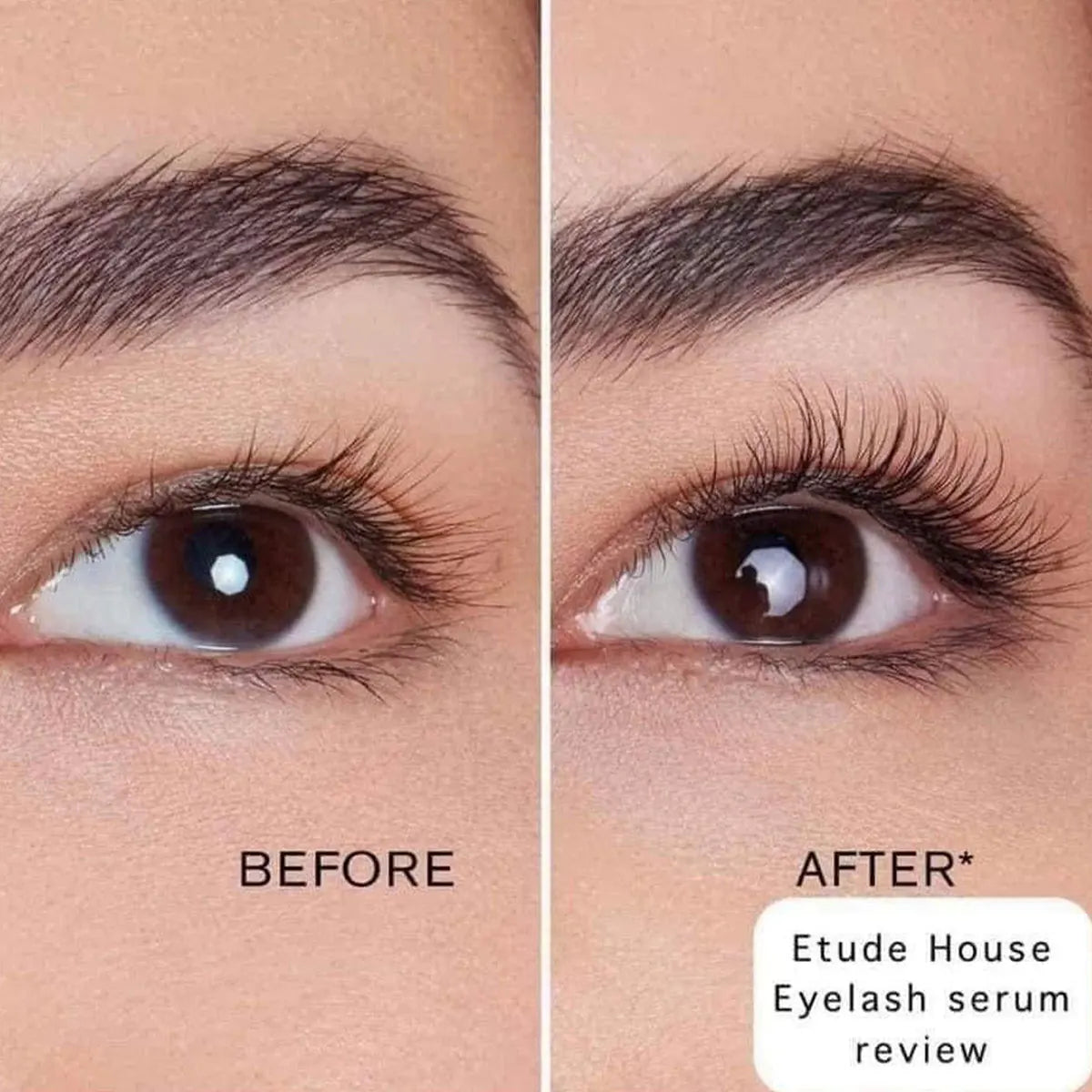 ETUDE My Lash Serum K-Beauty Healthy Lash Treatment
